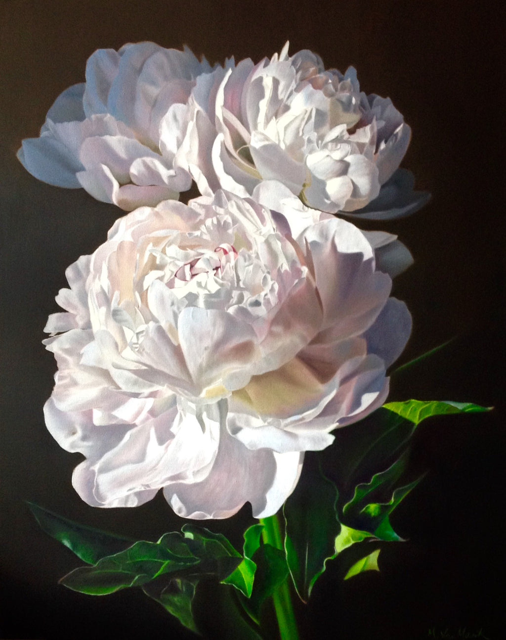 White Peonies -Limited Edition Signed Print