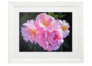 Ballet of Petals Framed Print