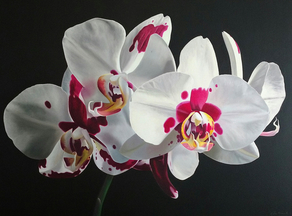 Dexterous Orchid